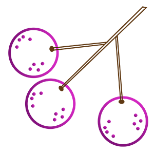 element six